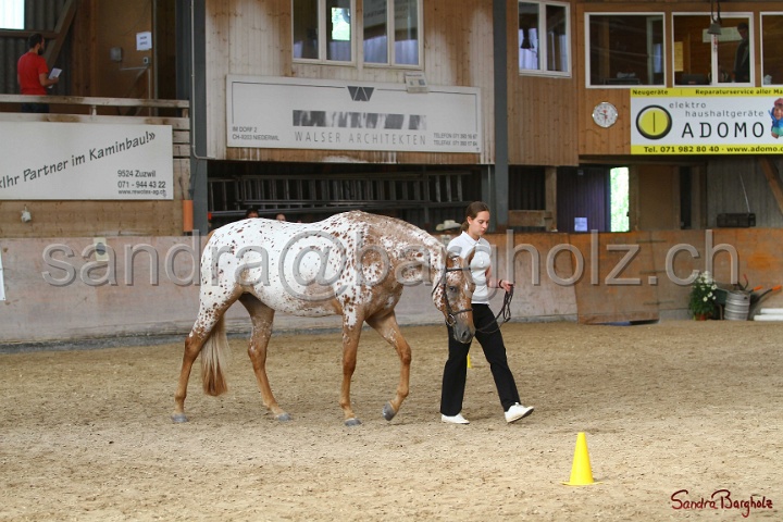 24-ApHC HIH_005.jpg
